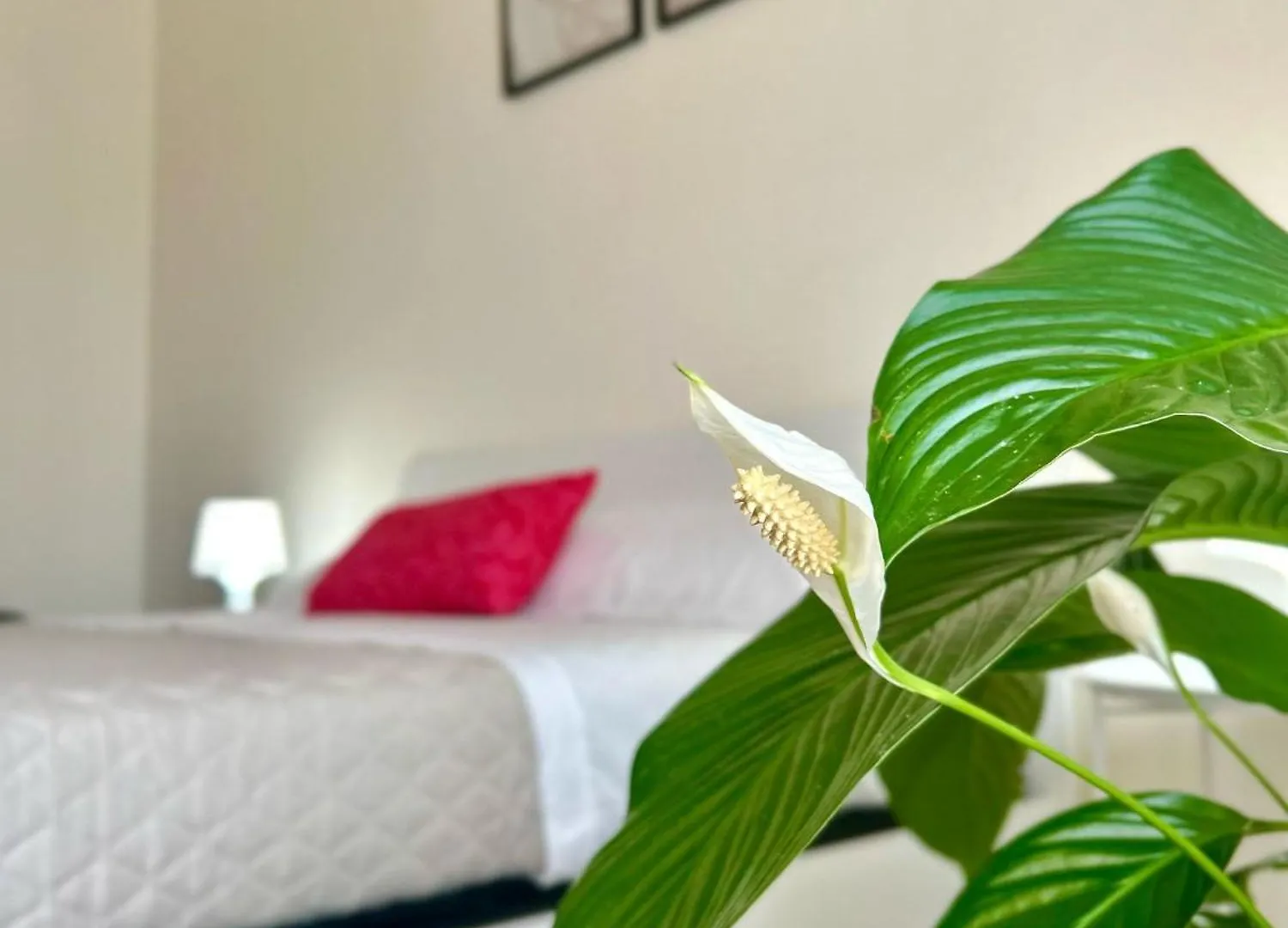 Casa Gabry Apartment Verona
